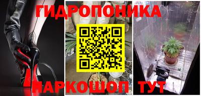 мяу мяу мука Берёзовский